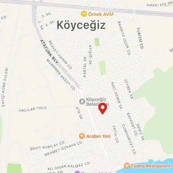 Nescafe Kod Kabul Etmiyorlar