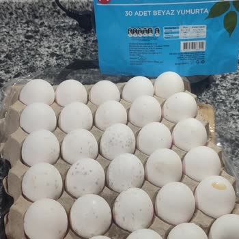 Küflü Yumurta Bili Bili BİM