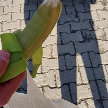 Şok Marketler Taze Olmayan Ürünler Ve Mağduriyet