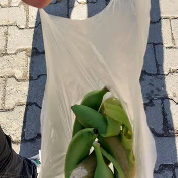 Şok Marketler Taze Olmayan Ürünler Ve Mağduriyet