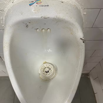 Burger King WC Çok Aşırı Pis