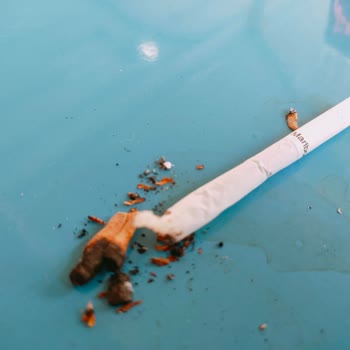 Philip Morris Sigaranın İçinden Belirsiz Madde Çıkması