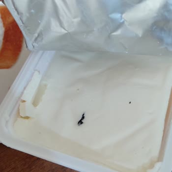 Bahçıvan Labne Peyniri Bozuk Çıktı