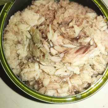 Tarım Kredi Kooperatif Market Tarın Kredi Kooperatif- Ton Balıkları