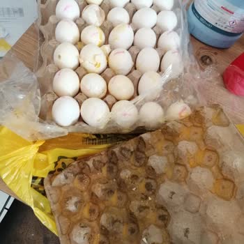 Şok Market Ürün Değişimi Problemi