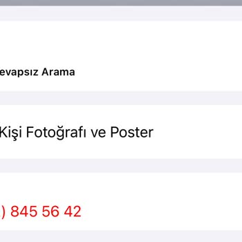 Usulsüzce Çalışan Scotty Kargo