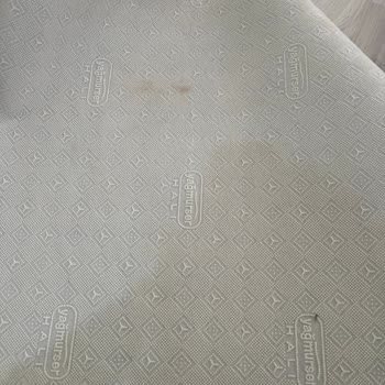 Ezel Halı Yıkama Halı Yıkama Hizmetinde Yaşanan Sorunlar