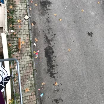 Kartal Belediyesi Temizlik Sıkıntısı Bazı Sokakların Temizlenmemesi