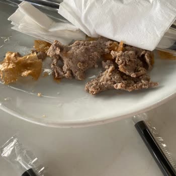 Yasa Tesisleri Kıyma Kokusu Çığ Böreğin Altının Komple Ayran Dökülerek Servis.