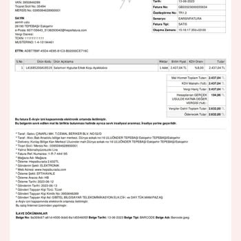 Salomon Ayakkabının File Kumaşını Yırtılması