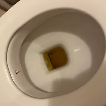 İstanbul Üniversitesi Sosyal Tesisinde Çamurlu Su Banyosu