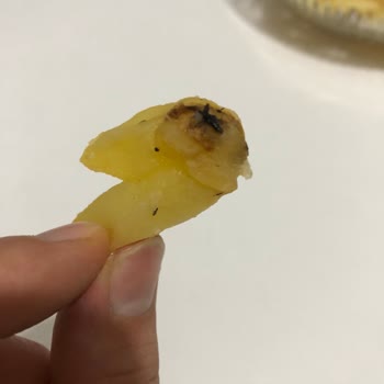 Mutfağım Patates Mutfağım Donuk Patatesinin İçinden Böcek Çıktı.