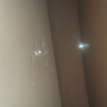 Dayanıksız Ev Aletleri Bosch