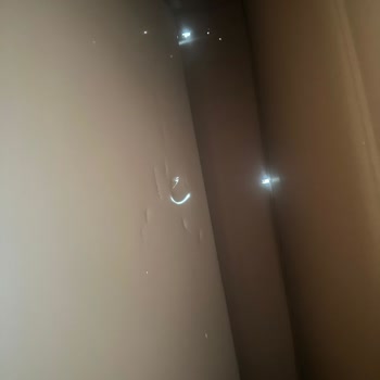 Dayanıksız Ev Aletleri Bosch