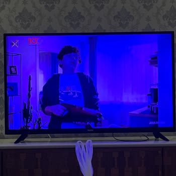 Vestel LCD Televizyon Mavi Ekran Gösteriyor