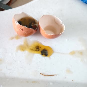 İtimat Lele Yumurta Bozuk Çıktı