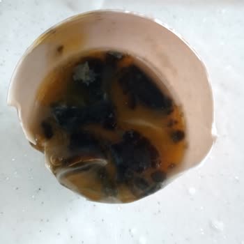 İtimat Lele Yumurta Bozuk Çıktı