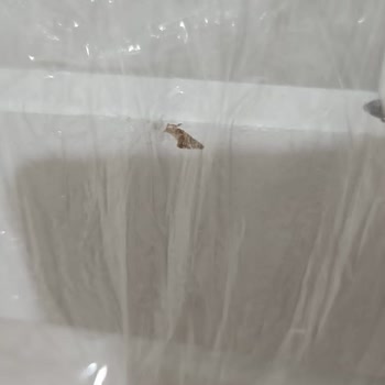 İncim Bebe (modabebekler.com) İade Sorunu