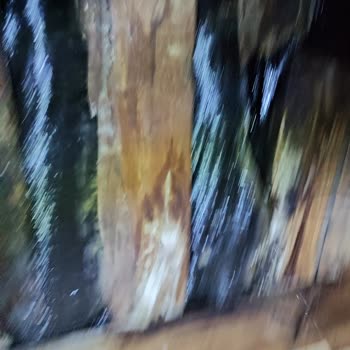 Armut Çatı Onarımı Hüsranı: Usta Kayıplarda!