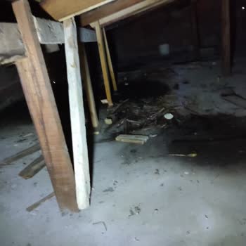 Armut Çatı Onarımı Hüsranı: Usta Kayıplarda!