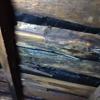 Armut Çatı Onarımı Hüsranı: Usta Kayıplarda!