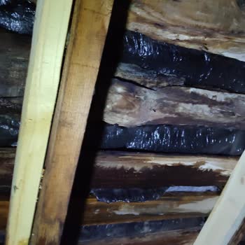 Armut Çatı Onarımı Hüsranı: Usta Kayıplarda!