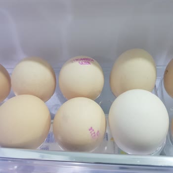 Tarım Kredi Kooperatif Market Sahte Organik Yumurta