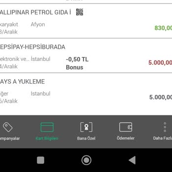 Nays Paramın Hesaba Geçmemesi