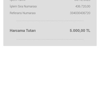 Nays Paramın Hesaba Geçmemesi