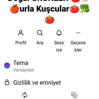 Urla_sakiz_enginar35 (Instagram) Ürün Ve Para İadesi