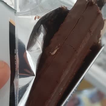 Sarelle Kurt Çıktı Çikolatadan