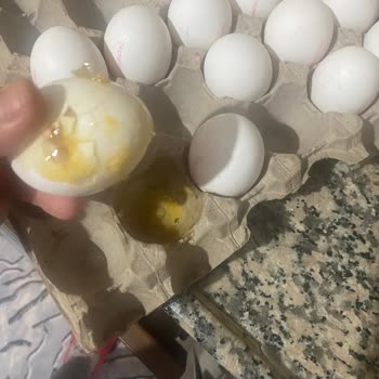 Migros Eksik Sipariş, Kırık Yumurta