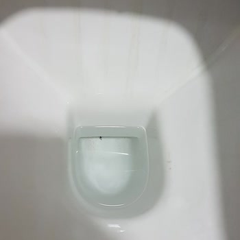 Kale Klozet İçinde Siyah Cizgi Oluşumu