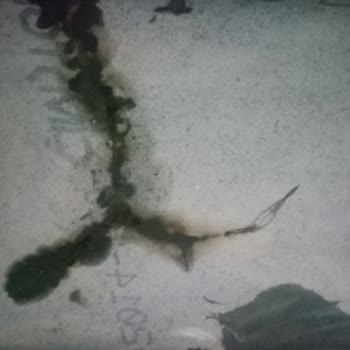 ÇimStone Mutfak Tezgahında Çatlaklar Oluştu