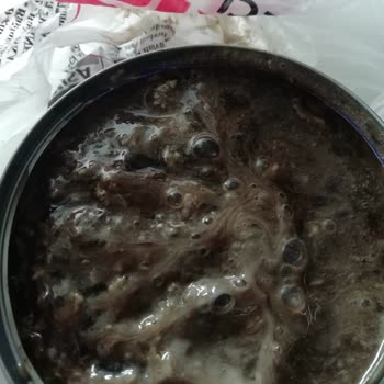 Bizim Vatan Adlı Konserve Kurtlanmış