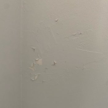 Polisan Bozuk Boya Göndermesi