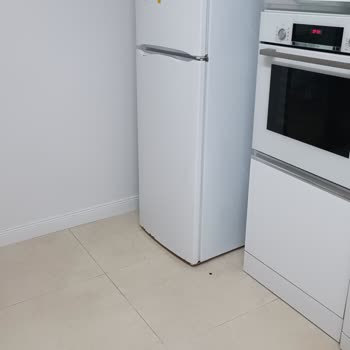 Sharp Buzdolabı Soğutucu Kimi Donduruyor