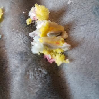 Twigy Tabandan Çıkan Sert Cisim