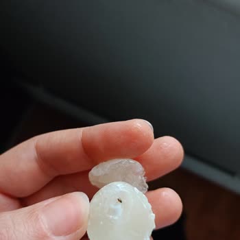 Topitop Tan Karınca Çıktı