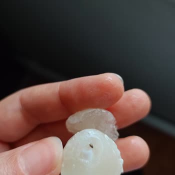 Topitop Tan Karınca Çıktı