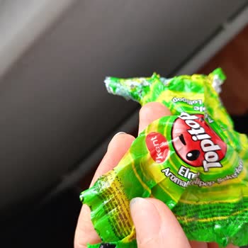 Topitop Tan Karınca Çıktı