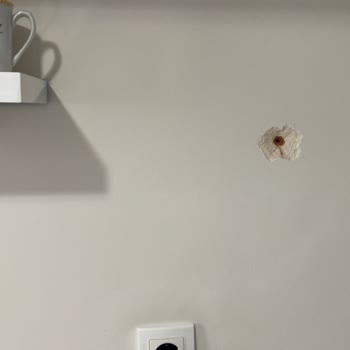 IKEA Montaj Anında Mutfak Duvarım Hasar Aldı