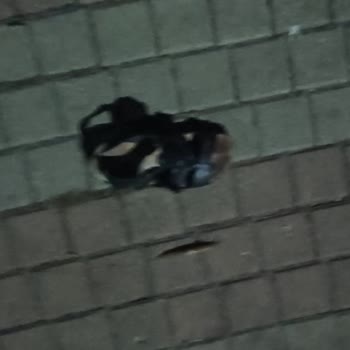 Kiptaş Tuzla 2.Etap Sitesinde Sümüklü Böcek Sorunu