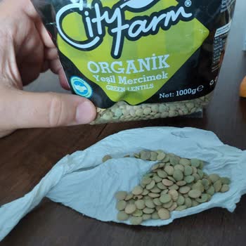 City Farm Organik Ürün Adı Altında Sattığı Böceklenmiş Ürünler
