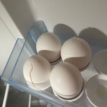 Bosch Marka Buzdolabımın Ürünleri Aşırı Dondurması