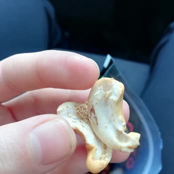 Carrefour Kurtlu Kuruyemiş Satıyor