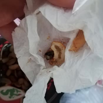 Carrefour Kurtlu Kuruyemiş Satıyor