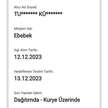 AGT Kurye (aynigunteslim.com) Kargom Kayıp, İlgisizlik Can Sıkıcı!