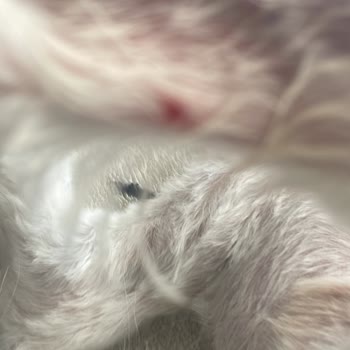 Grooming Station-Çayyolu'NDA Özensiz Tıraş!