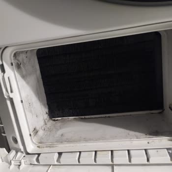 Vestel Kurutmasının Arızası Ve İlgisizlikleri